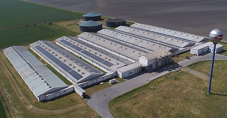 Svinjogojska farma Sokolovac