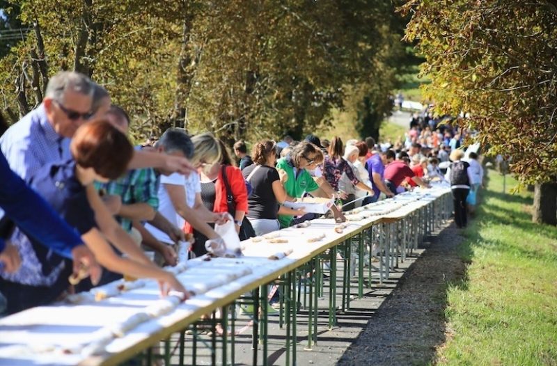 Knin - grad-knin.net - Čeka vas pravi spektakl na Štrudlafestu! Ove godine sprema se najbogatiji program ikada!