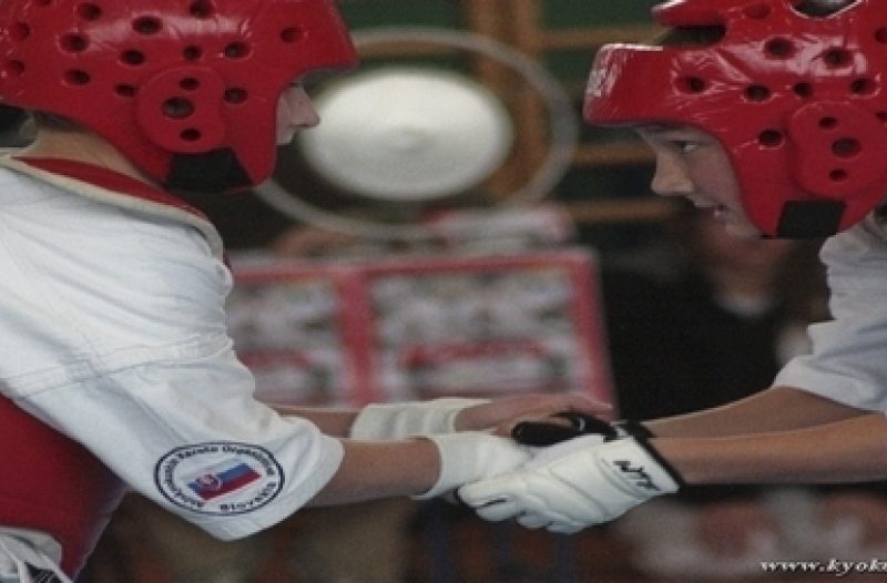 Knin - grad-knin.net - Međunarodni kyokushin “ELKA” CUP