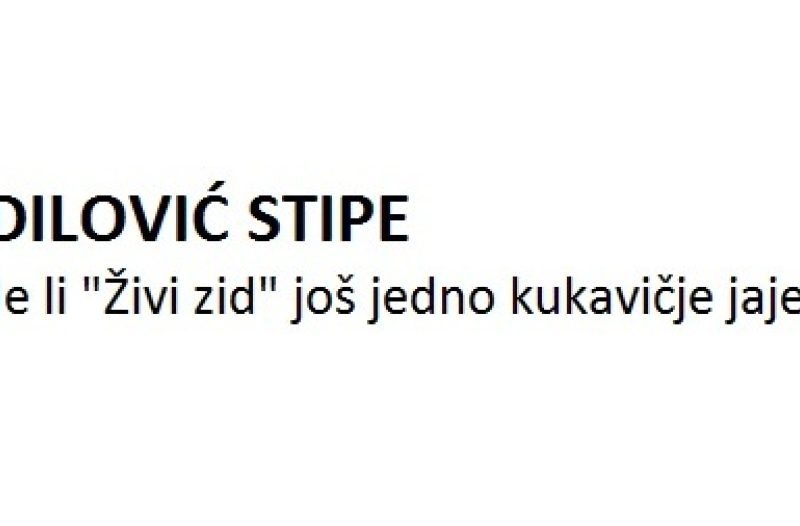 Knin - grad-knin.net - Je li 'Živi zid' još jedno kukavičje jaje?